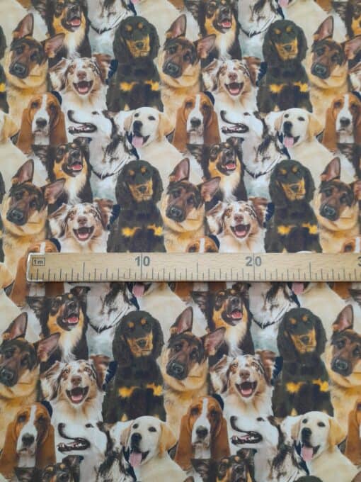 Tecidos 100% Algodão | Estampado | Cães - Image 2
