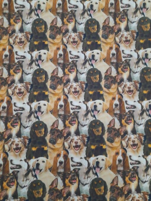 Tecidos 100% Algodão | Estampado | Cães
