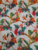 Tecido Outdoor | Impermeável | Estampado | Cacatua (catatua)