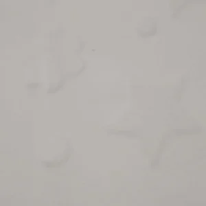 Coralina | Estampado| Infantil | Estrelas (Branco)