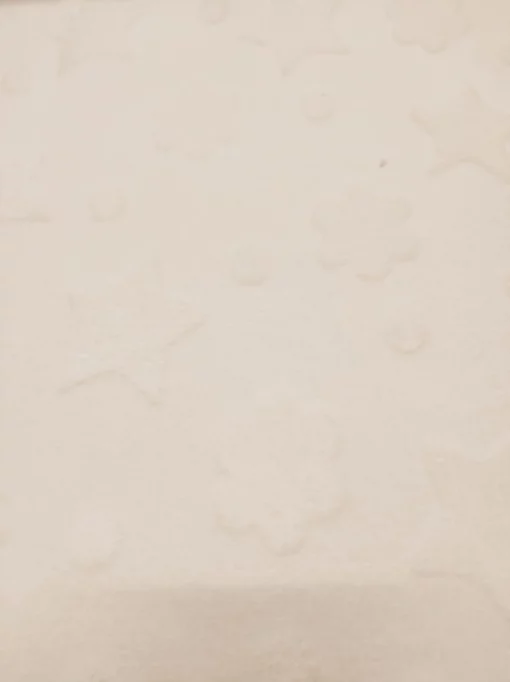 Coralina | Estampado | Infantil | Estrellas (Crudo)