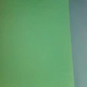 Enchimento | Foam | Carnaval | Verde Fluorescente