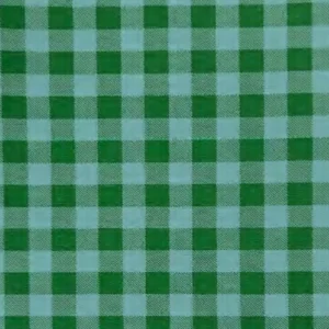 Tecidos Resinados | Estampado | Vichy (1,5cm) | Verde/Azul Bebé