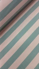 Tecidos Resinados | Estampado | Riscas 2cm | Menta/Rosa Claro